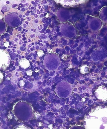 cell1