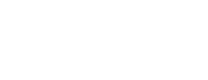 discseel logo white rgb 600px@72ppi e1709212980506 300x115 1