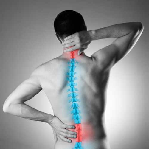 The Discseel® Procedure 3